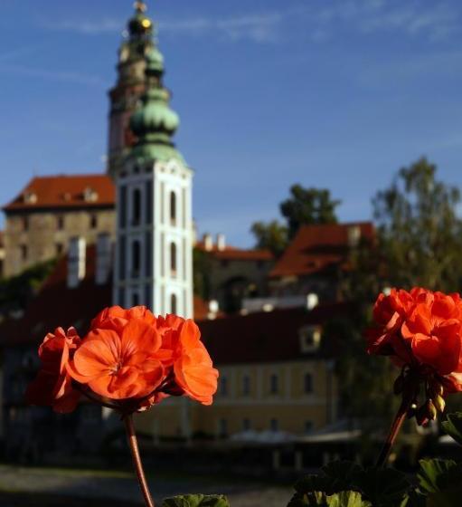 Пансион Guest House Olšakovský