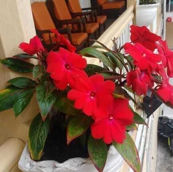 پانسیون Santa Juana