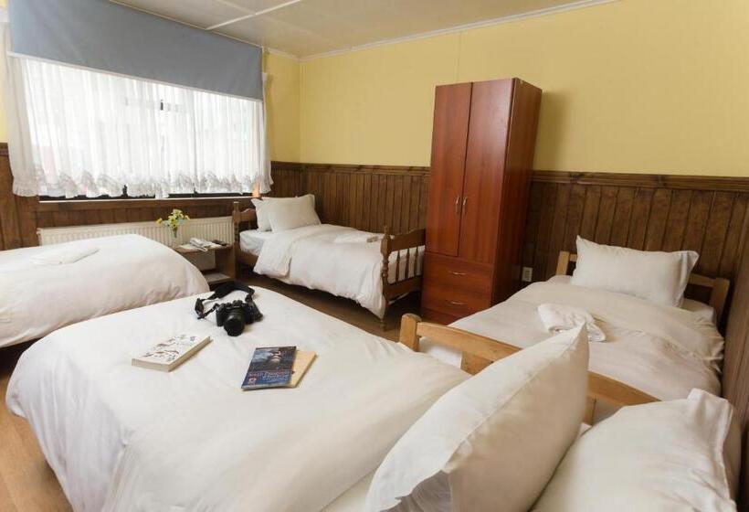 فندق صغير Hostal Hielo Sur