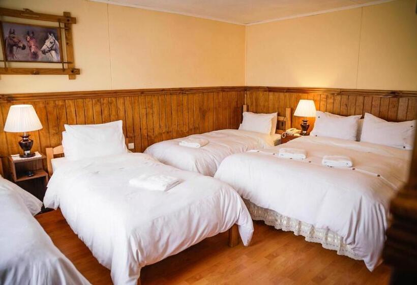 فندق صغير Hostal Hielo Sur