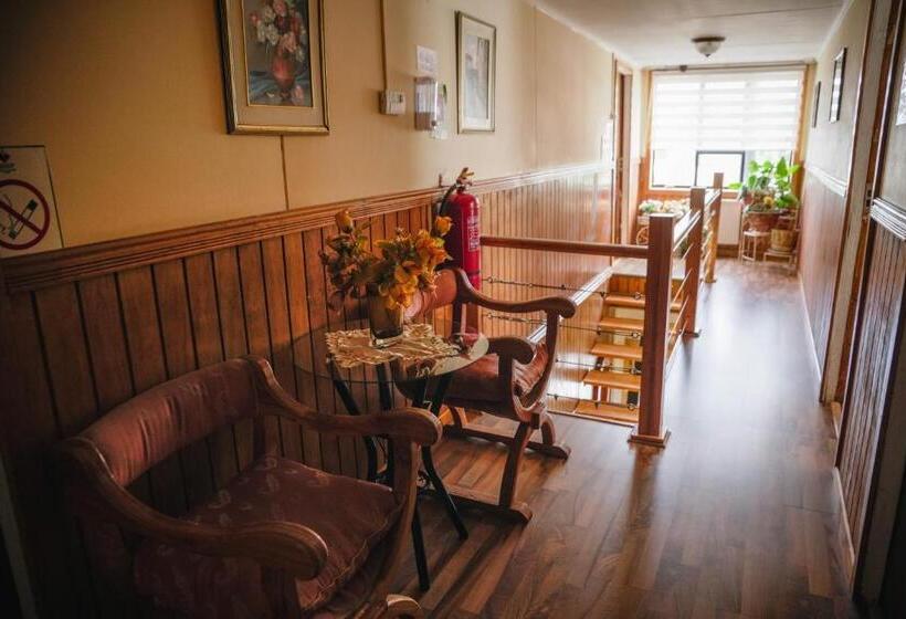 فندق صغير Hostal Hielo Sur