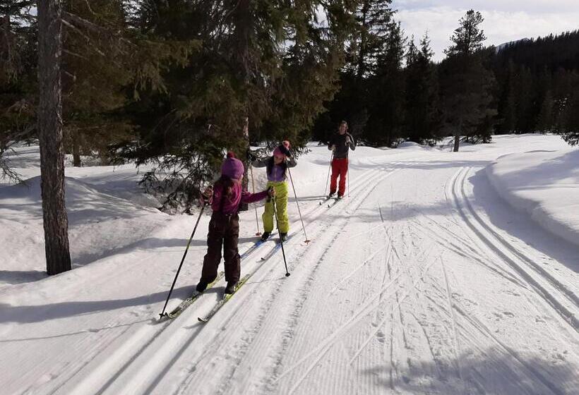 Отель Apartments Teglbauernhof, Hütte, Chalet, Mobilheim, Appartement, Ferienwohnung, Pension, Urlaub