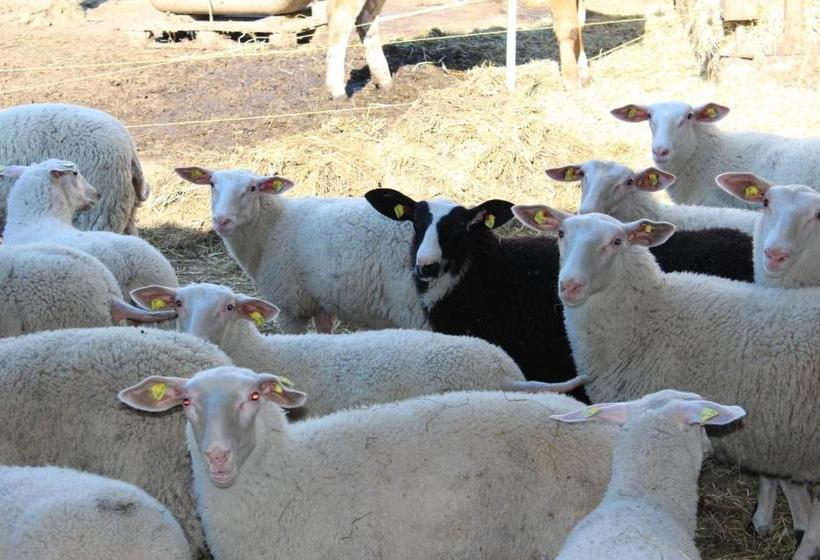 ホテル Bauernhof Schink