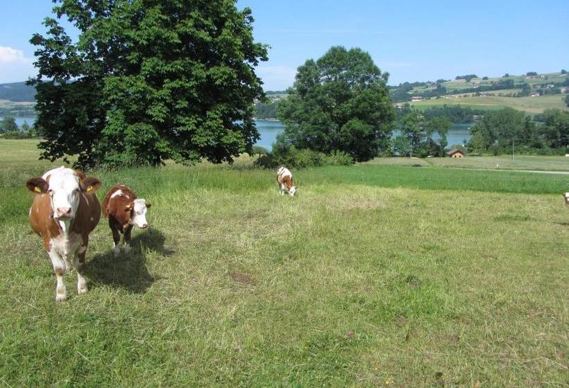 ホテル Bauernhof Schink