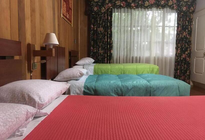 پانسیون Hostal Kutralwe