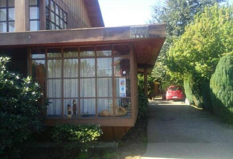 پانسیون Hostal Kutralwe