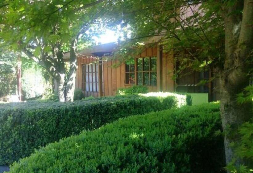 پانسیون Hostal Kutralwe