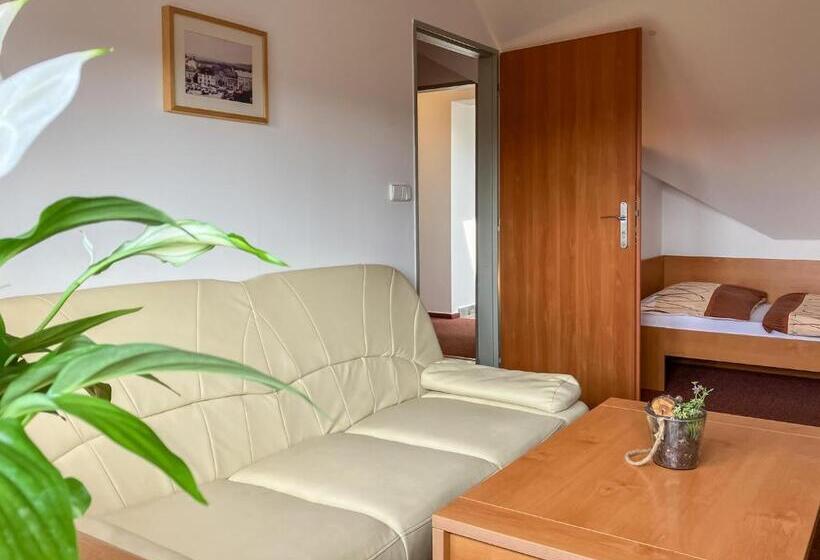 بنسيون Penzion Na Stavidle