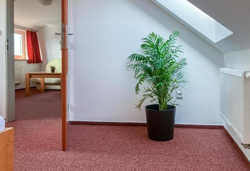 بنسيون Penzion Na Stavidle