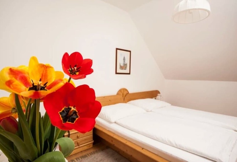 بنسيون Winzerhof   Gästehaus Stöger