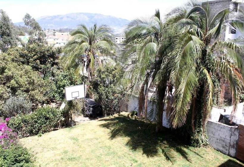 هاستل El Geranio