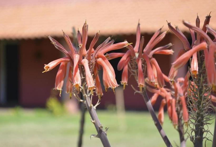 فندق صغير Posada Villapancha B&b