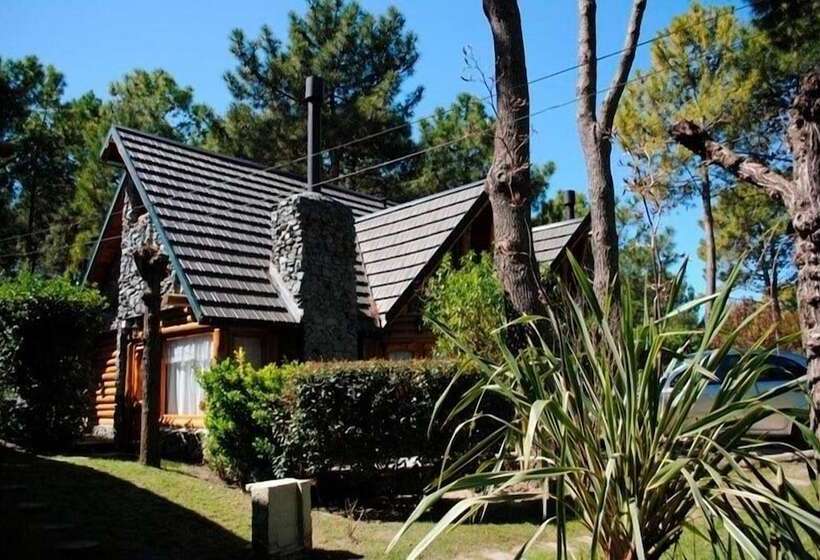 Cabañas Mapuche