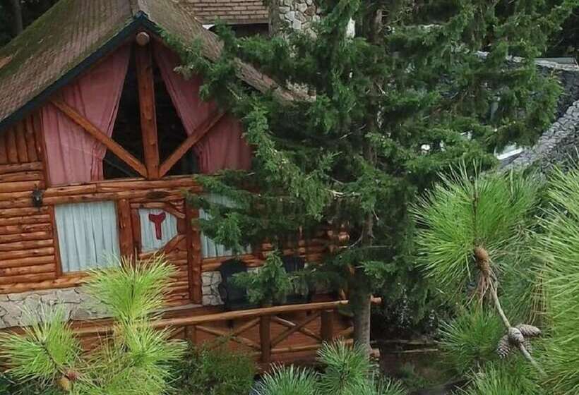 Cabañas Mapuche