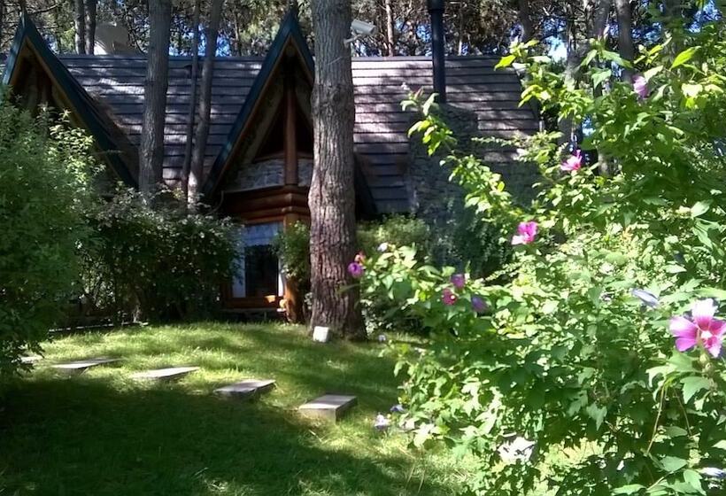 Cabañas Mapuche