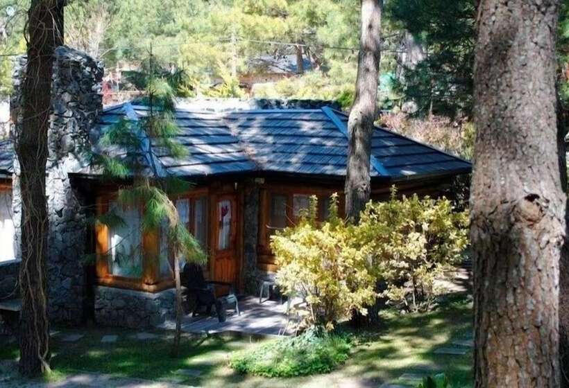 Cabañas Mapuche