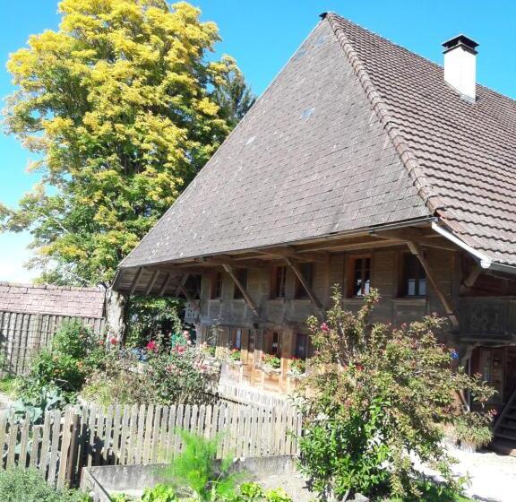فندق Bühl 3