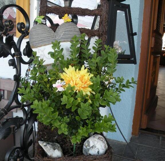 פנסיון Alpenhof Grafleiten