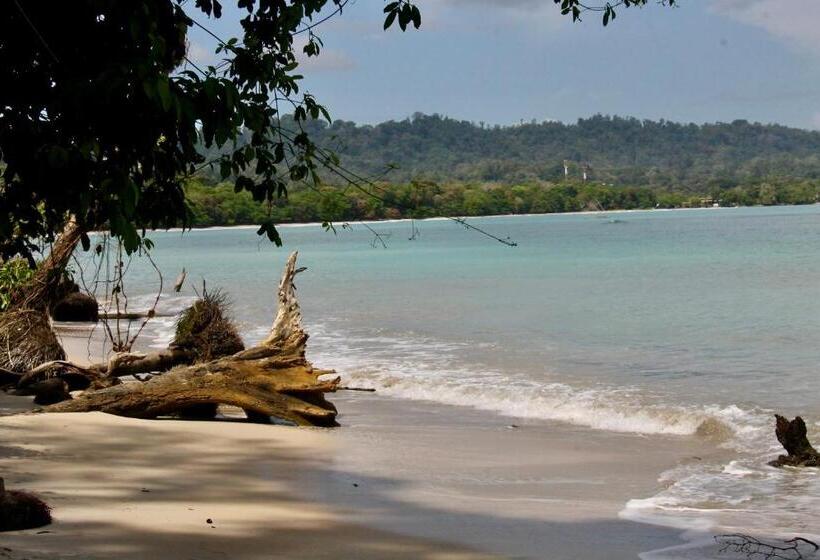 پانسیون Cabinas Cahuita