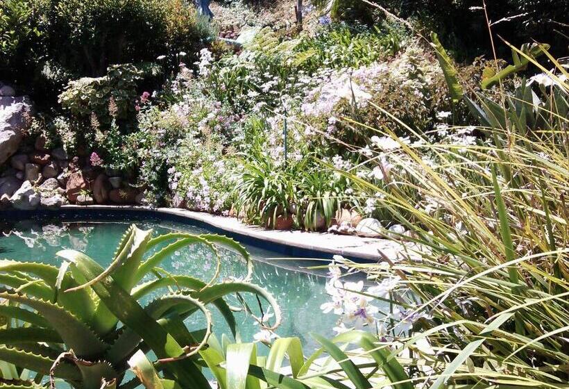 پانسیون Hout Bay Hideaway
