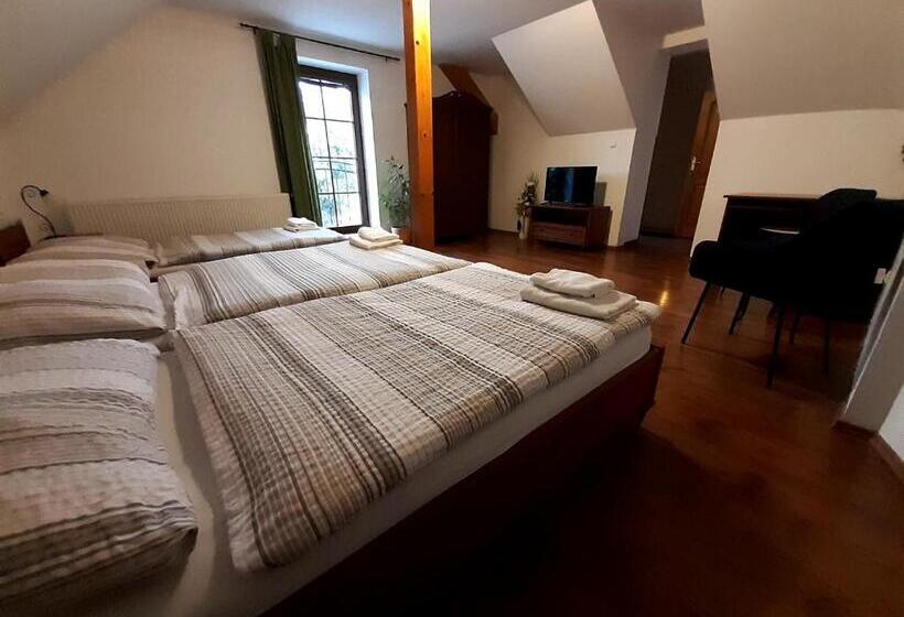 پانسیون Penzion V Podzámčí Litomyšl