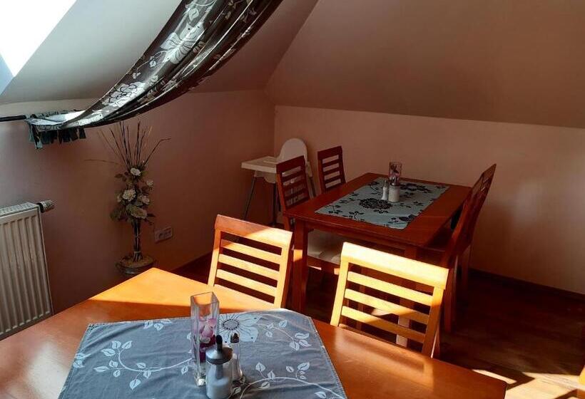 پانسیون Penzion V Podzámčí Litomyšl