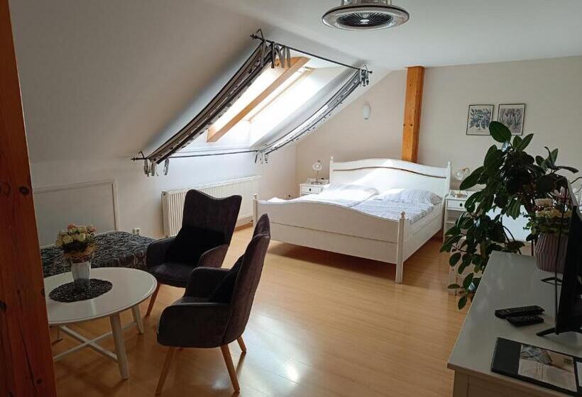 پانسیون Penzion V Podzámčí Litomyšl