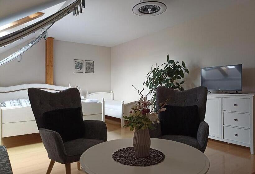 پانسیون Penzion V Podzámčí Litomyšl