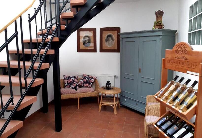 پانسیون Penzion V Podzámčí Litomyšl