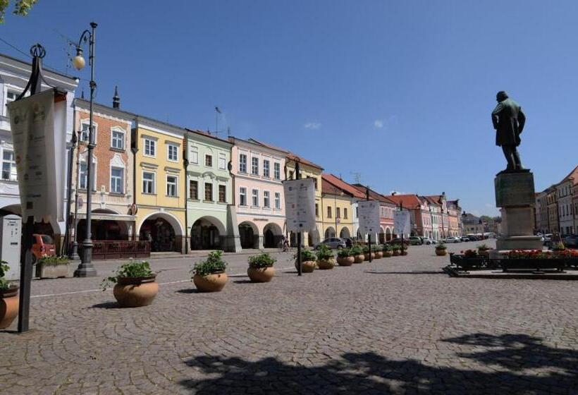 پانسیون Penzion V Podzámčí Litomyšl