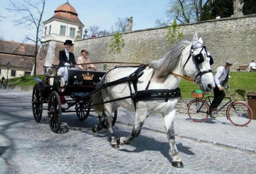 پانسیون Penzion V Podzámčí Litomyšl