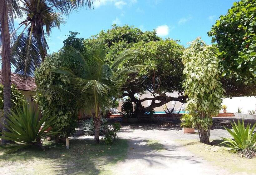 פנסיון Pousada Pé De Caju