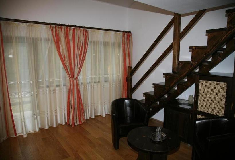 بنسيون Timis Valley, Casa Eni&dan