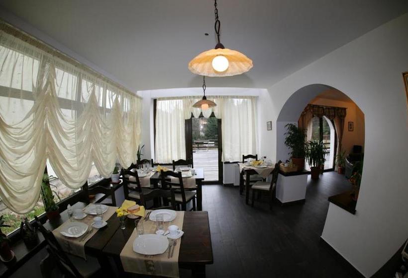 بنسيون Timis Valley, Casa Eni&dan