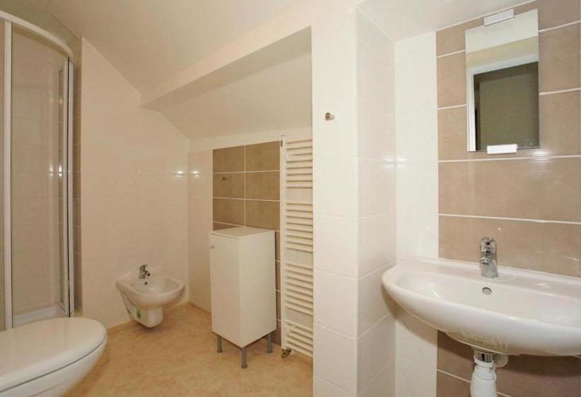 پانسیون U Kašny