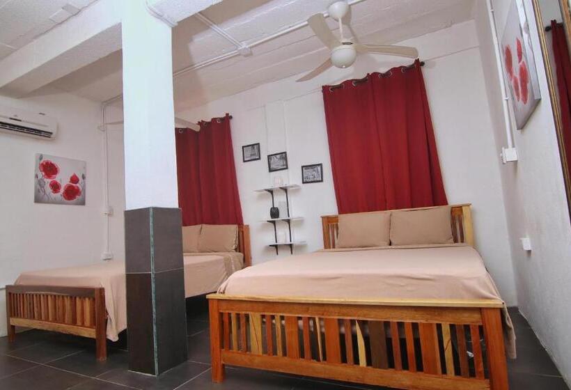 הוסטל Rainforest Haven Inn