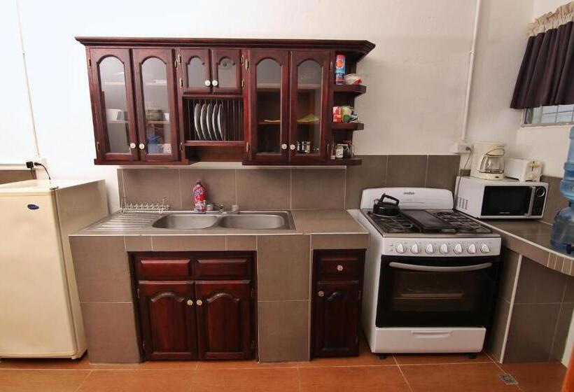 הוסטל Rainforest Haven Inn