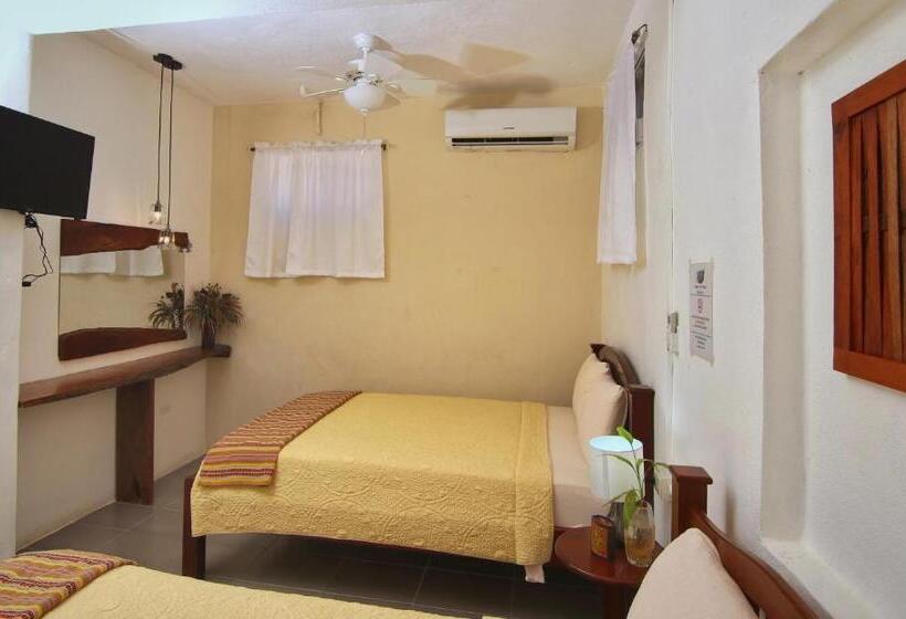 הוסטל Rainforest Haven Inn