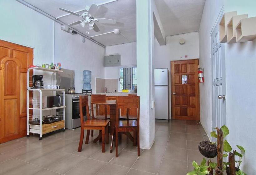 הוסטל Rainforest Haven Inn