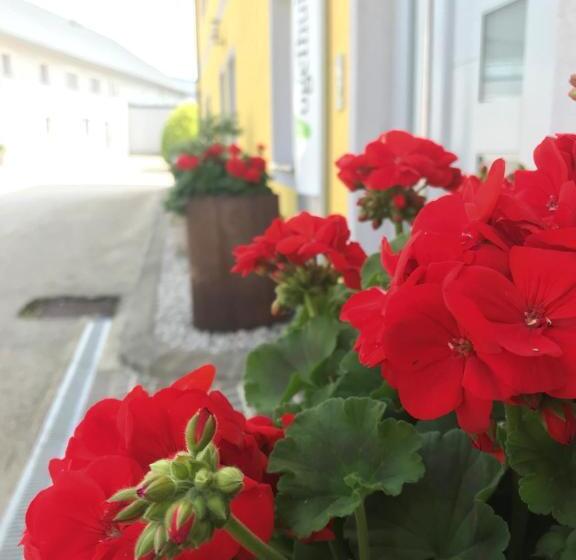 ホテル Vogelhubergut   Familie Scherleithner