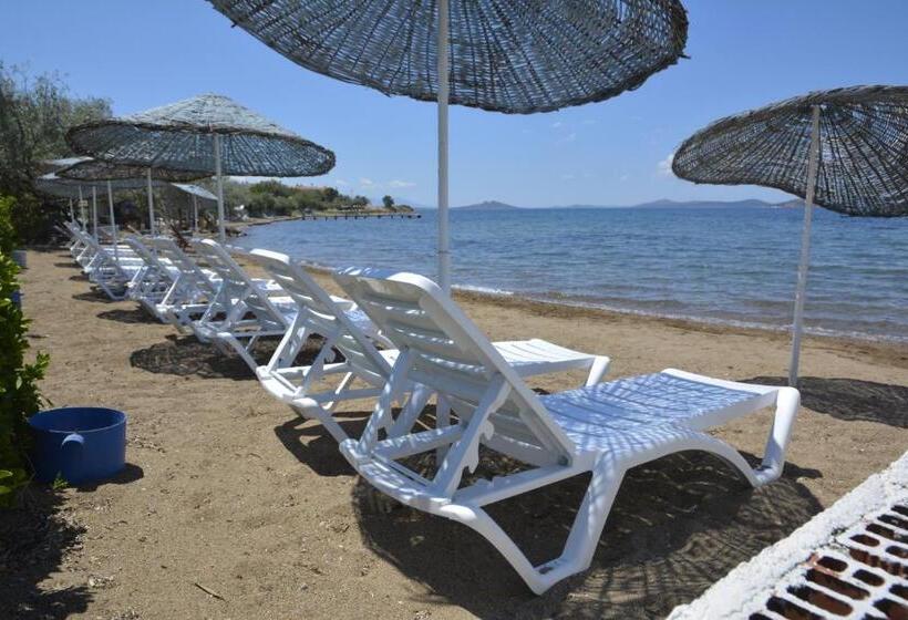 پانسیون Ege Apart &