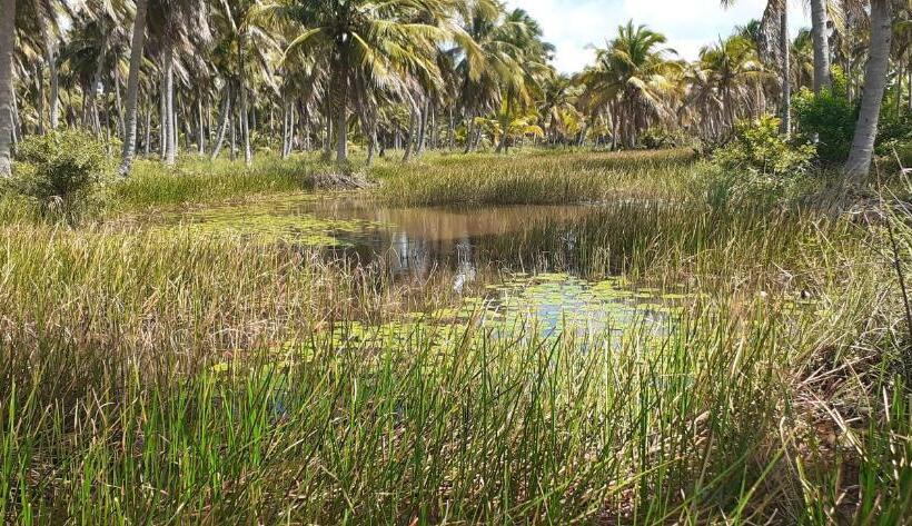بنسيون Ecolodge Batel Alagoas