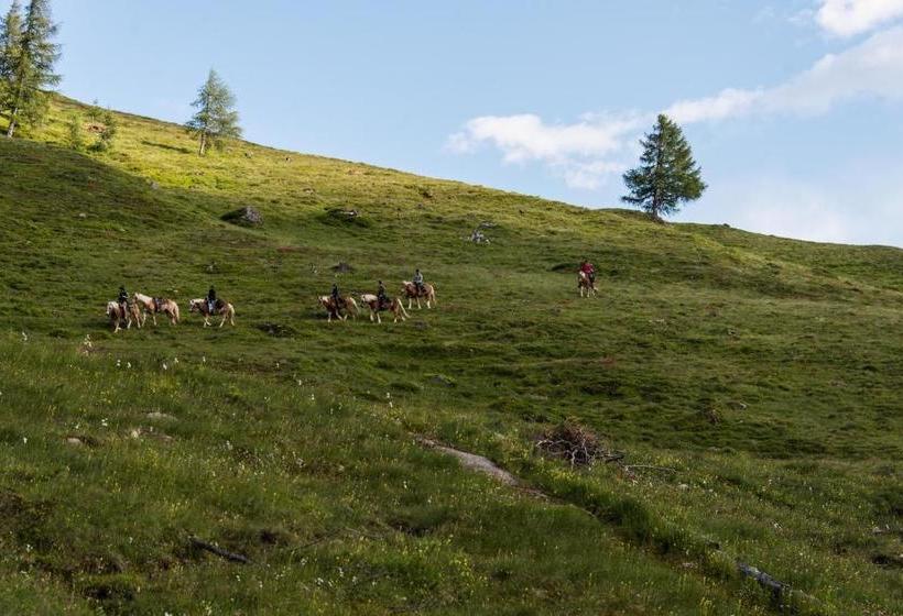 Pension Landhaus Alpenrose   Feriendomizile Pichler