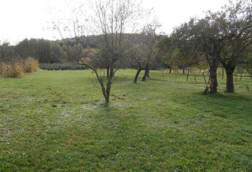 بنسيون Nádkunyhó Vendégház