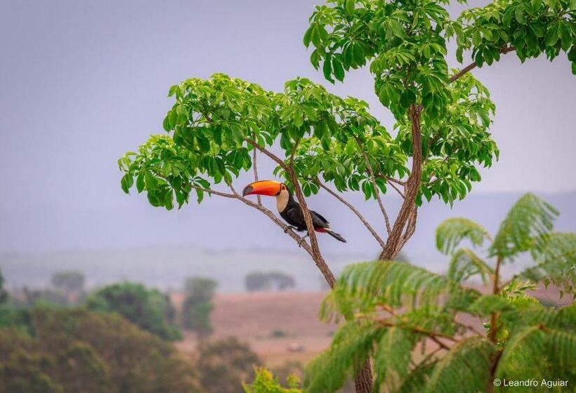 ペンション Pousada Mirante Do Cerrado