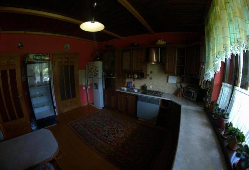 بنسيون Prutets Guest House