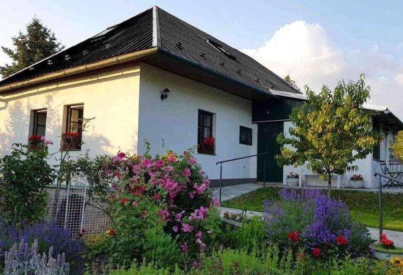 Pension Brusenka