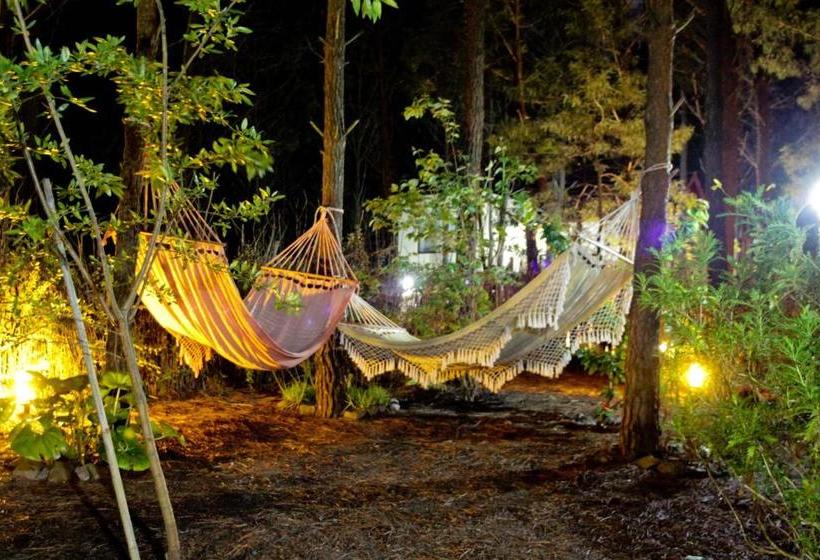 Rincón De Los Vientos