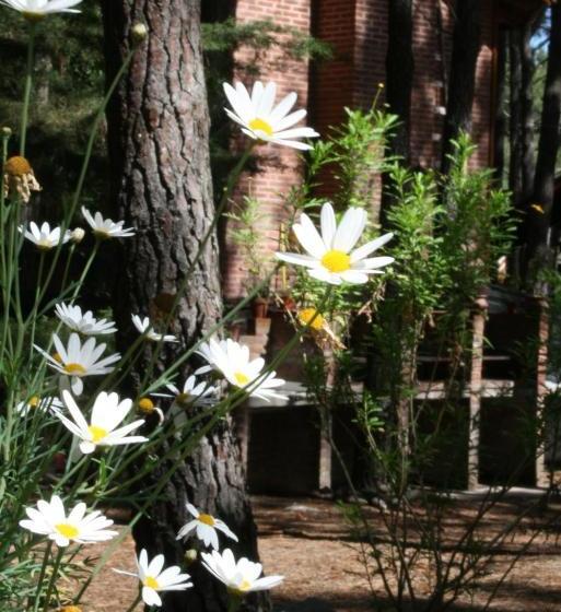 Rincón De Los Vientos