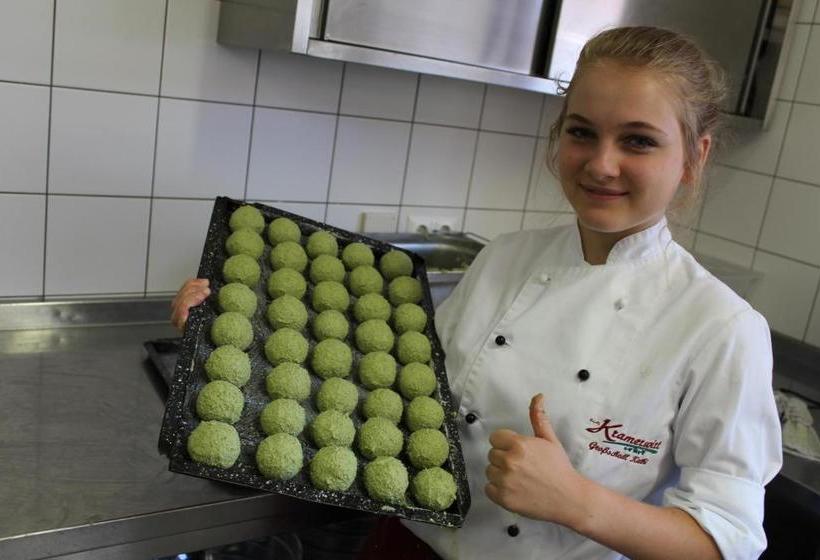 ユースホステル Gasthof Großschedl Zum Kramerwirt